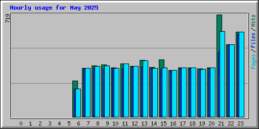 Hourly usage for May 2025