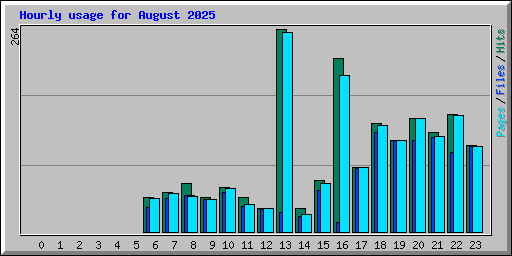 Hourly usage for August 2025