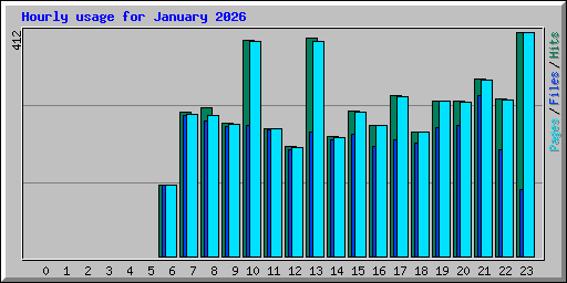 Hourly usage for January 2026