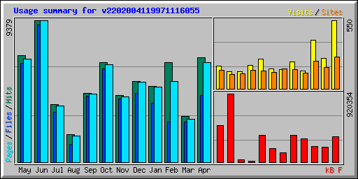 Usage summary for v2202004119971116055